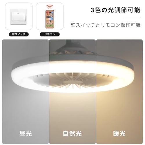 DR.TREE シーリングファンライト FX36P-120300C の商品画像 4