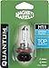 Produktbild Magneti Marelli Quantum Energy H11 Halogen-Autolampe, 12 V, 55 W, PGJ19-2-Anschluss
