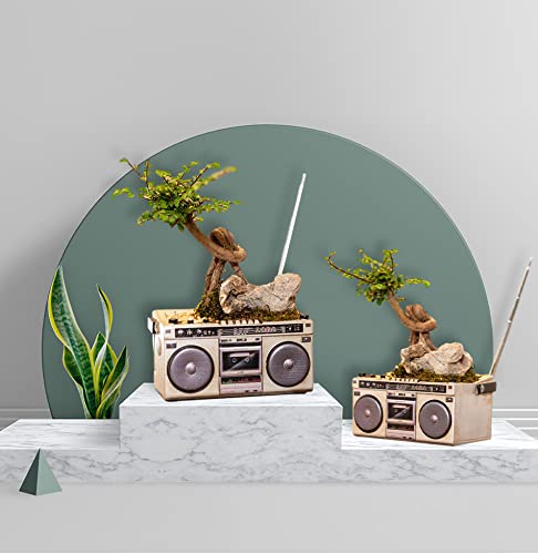 Leen4You Succulent Plant Pot Garden Planting Pots Cute Little Pots with Drain Hole for Plants Cactus Flower Perfect for Home Office Decor (Cassette Recorder Style) - Image 3