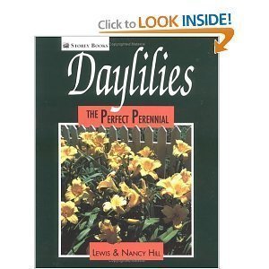Daylilies: The Perfect Perennial