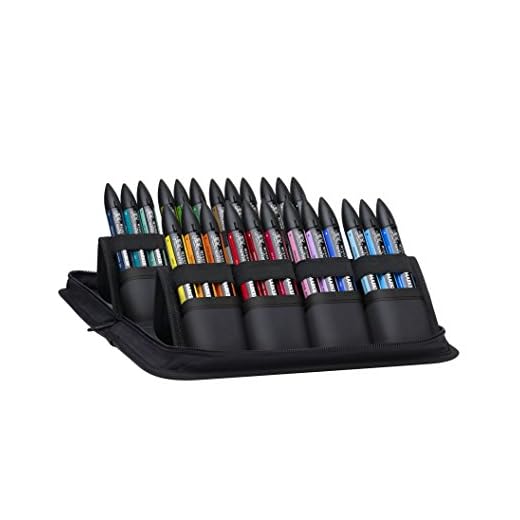 Promarker Pantone 24 rotuladores doble punta Winsor & Newton Letraset pantoni Juego Arts & Illustration