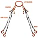 SALUINOKI Lift Chain Sling with Hooks 10Ft 4 Way x 1/4 inch 6600lbs 3 Ton for Chains Lifting