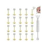 CASSIECA 16G Labret Piercing Tragus Helix Conch Acier Inoxydable Bijoux au Nez Chirurgical 3mm CZ 6/8/10mm