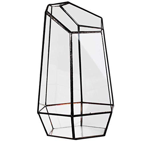 Vase hexagonal en verre pour micro paysage et terrarium de plantes
