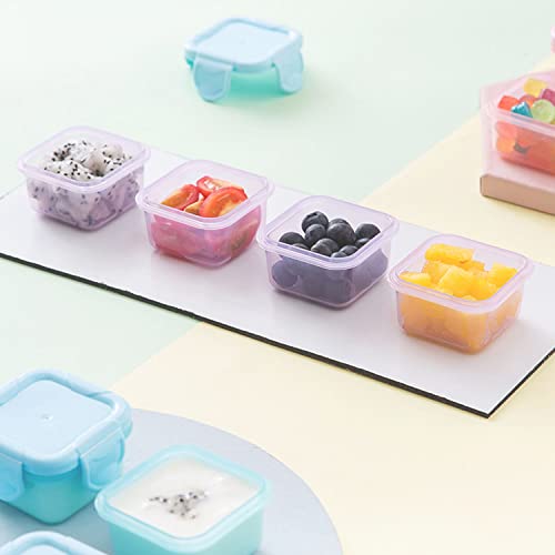 Halyuhn 12 Pcs Bpa-Free Plastic Food Containers With Lids, 16 Oz 2 Oz Food Storage Freezer Containers With Clamping, Multi-Color Rectangular Meal Prep Containers Lunch Variety Pack Versatile Set Bowl #TOP3
