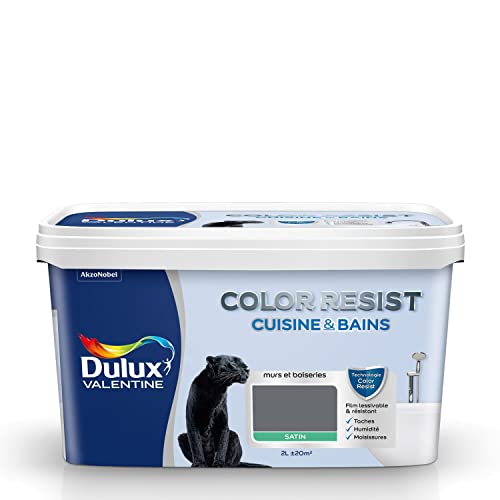 Dulux Valentine Color Resist - Peinture Intérieure Pièces Humides - Pour Murs, Plafonds, Boiseries - Lessivable et Résistante - Couleur : Anthracite Satin - 2 L - 5261983
