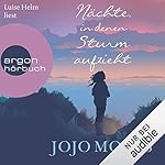 Nächte, in denen Sturm aufzieht