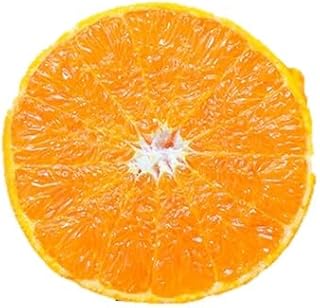 ＼みかんの大トロ/糖度12.0以上酸1.4以下 糖酸選別品 訳あり 愛媛セトカ3kg（C20-14）