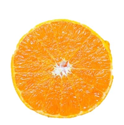 ＼みかんの大トロ/糖度12.0以上酸1.4以下 糖酸選別品 訳あり 愛媛セトカ3kg(C20-14)