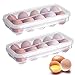 2 Pezzi Porta Uova da Frigo, Contenitore per Uova con Coperchio, Porta Uova Plastica Trasparente, 10 Griglie Portauova Impilabile per Cucina di Casa, Frigorifero (Trasparente)