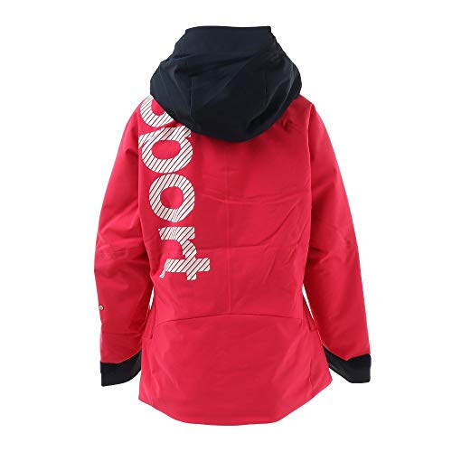 チームデサント　スキーウェア　サイズO スキーウェア スキーパンツ デサント パンツ DESCENTE メンズ