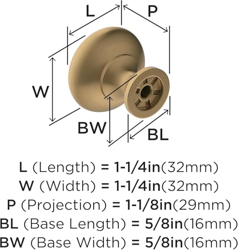 Image of Amerock 1-1 /4 inch Round Edona Champagne Bronze Cabinet Knob | Durable Zinc drawer knob and cabinet hardware, ideal for kitchen cabinets, bathroom vanities, dressers, and furniture