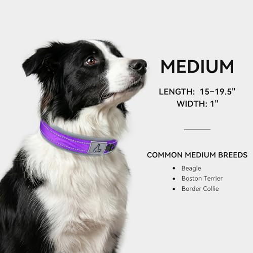 Image of Joytale Dog Collar for Medium Dogs, Neoprene Padded and Adjustable, Reflective Wide Heavy Duty Pet Collars with Durable Metal Belt Buckle for Walking, Purple, M