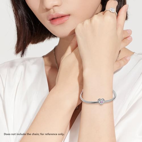 Fit Pandora Bracelet Women's Granddaughter/Grandma/Daughter/Mom/Sister/Dad/Heart Love Silver Charms2