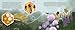 If Bees Disappeared (If Animals Disappeared, 1)