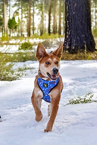 Ecobark Dog Harness - Eco-Friendly Max Comfort Harnesses - Luxurious Soft Mesh Halter - Over The Head Harness Vest- No Pull And No Choke For Large, Xl, And Xxl Dogs (Xl, Nautical) #TOP7