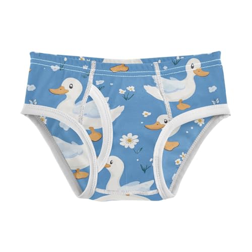 Wusikd Cute Duck Boys' Underwear Cotton Blue Boys Briefs Soft Toddler Underwear 2T
