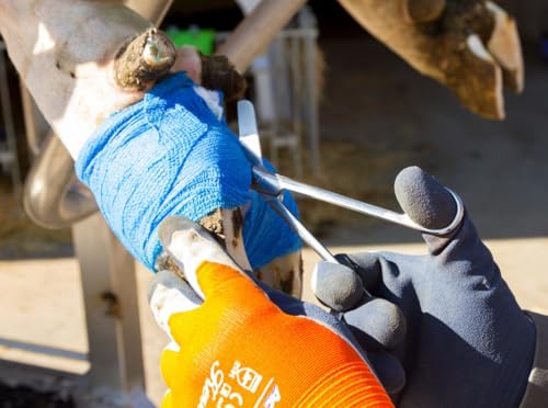 Kerbl 1658 Verbandsschere, Edelstahl, 145 mm