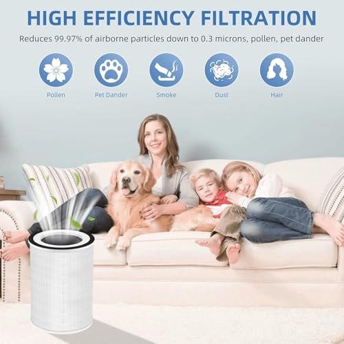 Image of 2-Pack 1000 Replacement Filters | 3-in-1 Integrated Filtration with Activated Carbon & Pre‑Filter | Compatible with Air Doctor 1000 AD1000 Air Purifier