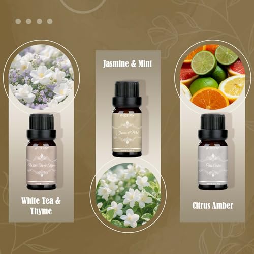 Hotel Diffuser Oils Gift Set, Aromatherapy Essential Oil Set, Luxury Hotel Scents for Diffuser for Home – White Tea & Thyme, Jasmine & Mint, Citrus Amber, Luxury Night, Dreamy Den, Urban Oasis - Image 3
