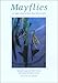 Mayflies: An Angler's Study of Trout Water Ephemeroptera