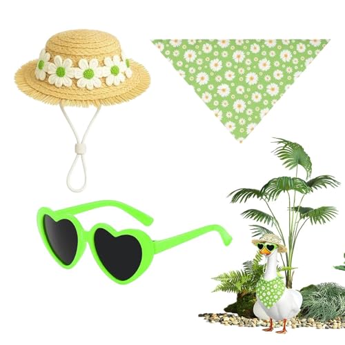 Costume d'oie de jardin pour rompre la monotonie de votre terrasse d'été