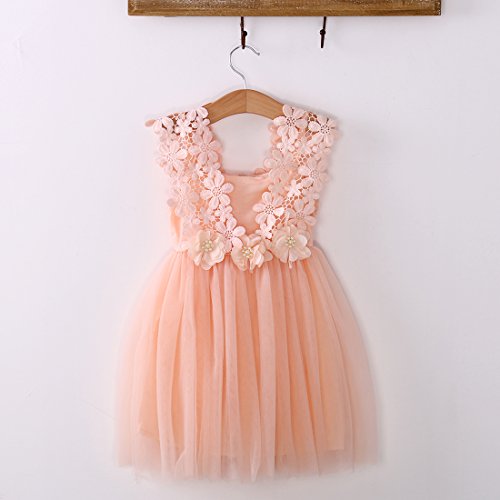 Elegant Feast Baby Girls Princess Lace Flower Tulle Tutu Gown Formal Party Dress (1-2 Years, Pink)