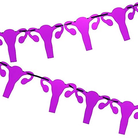 ROFLmart Metallic Pink Uterus Banner Party Decorations Cover