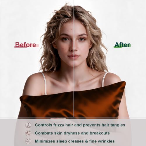 Image of LYSHIN Silk Pillow Cases 2 Pack Queen Size with Zipper, Orange | 19 Momme Mulberry Silk Pillowcase for Skin and Hair, Anti-Acne, Hypoallergenic, Cooling, Beauty Sleep, Gifts for Women