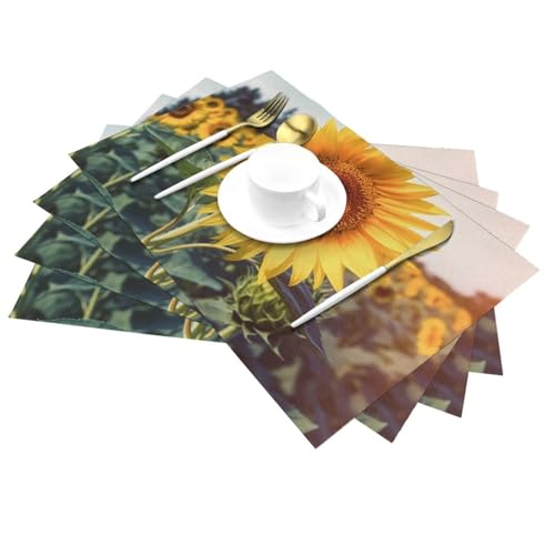 Sets de table en PVC lavables vinyle tissé résistant chaleur lot de 6