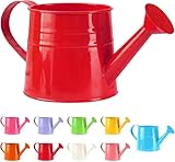 Design unique : l'arrosoir dispose d'un design unique avec une large ouverture pour un remplissage facile avec de l'eau. Elle dispose également d'une poignée ergonomique pour une prise en main confortable et une manipulation facile.