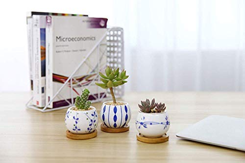 T4U 2.5 Inch Ceramic Succulent Planter Pot With Bamboo Saucer Set Of 3, Cactus Plant Pot Flower Pot Container Planter Gift For Mom Sister Aunt Home Office Decoration #TOP2