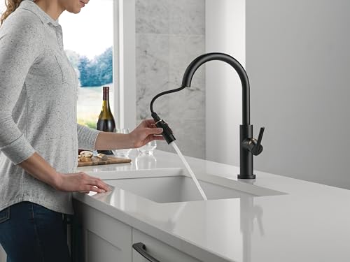 Delta-Faucet-Nicoli-Kitchen-Faucet-with-Pull-Down-Sprayer-Black-and-Gold-Kitchen-Sink-Faucet-Modern-Kitchen-Faucet-Single-Hole-Kitchen-Faucet-Matte-BlackChampagne-Bronze-19867LF-GZ Delta Faucet Nicoli Kitchen Faucet with Pull Down Sprayer Black and Gold Kitchen Sink Faucet Modern Kitchen Faucet Single Hole Kitchen Faucet Matte BlackChampagne Bronze 19867LF GZ