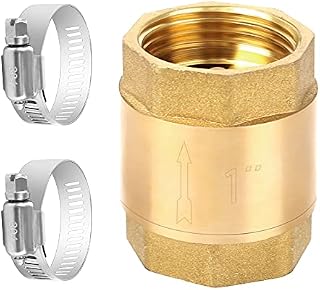 Haisheng Spring Check Valve Single Non Return Check Valve Brass Non Return Valve with 2PCS Fuel Line Clamp Adjustable Pipe Tube Clamps Adjustable Hose Clamp for Water Oil Steam Acidic Media