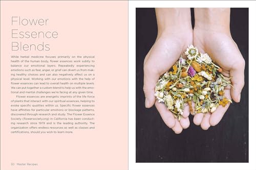 Timber Press Pursell, Dr. Jj Medicinal Herbs For Family Health And Wellness: 123 Trusted Recipes For Common Concerns thumb #6