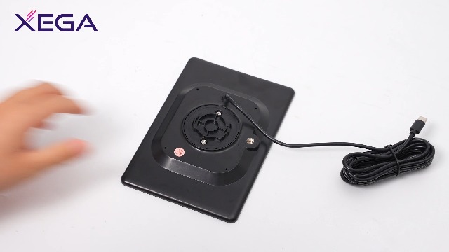 Pannello Solare 20W Xega Per Telecamere Di Sorveglianza - Type-C, Cavo 3m, Ricarica Senza Fili - Foto 3