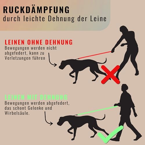 Retrieverleine 150 cm für große & kleine Hunde – Halsband mit integrierter Leine – Slip Leash & Trainingsleine Hund – Führungsleine für Labrador & Retriever - Ruckdämpfer (Taupe, ab 15 Kg)