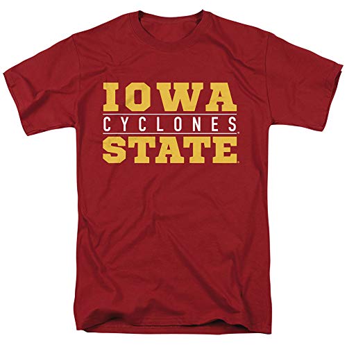 Iowa State University Between The Lines Unisex T Shirt, Cardinal, 3X-Large
