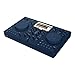 AlphaTheta OMNIS-Duo Portable All-in-One Battery Powered DJ Controller