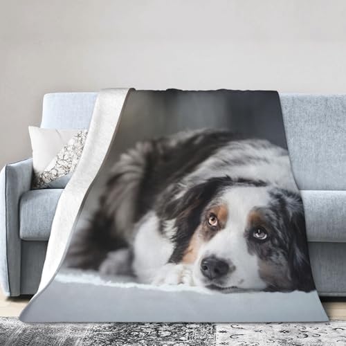 ѕz uPbg 唻 |ѕz x I[XgAVFp[hEB^[Xm[ Qѕz tl 傫TCY _炩 ył g y h ÓdCh~ Lh R [֗ ۉAt@bViuAAyʁAK