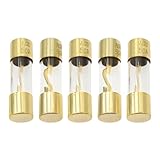 BWBWND 5 PCS 50A Gold Plated Glass Car Audio AGU Fuse, Audio Stereo Sytem Glass Tube...