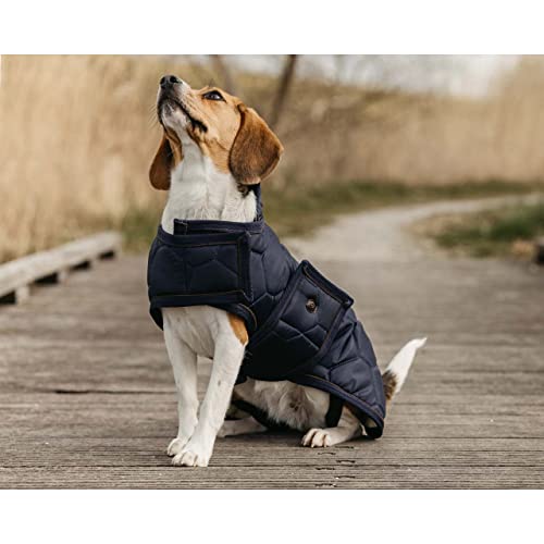 Couverture pour chien Classy QHP en tissu noble et finitions haut de gamme
