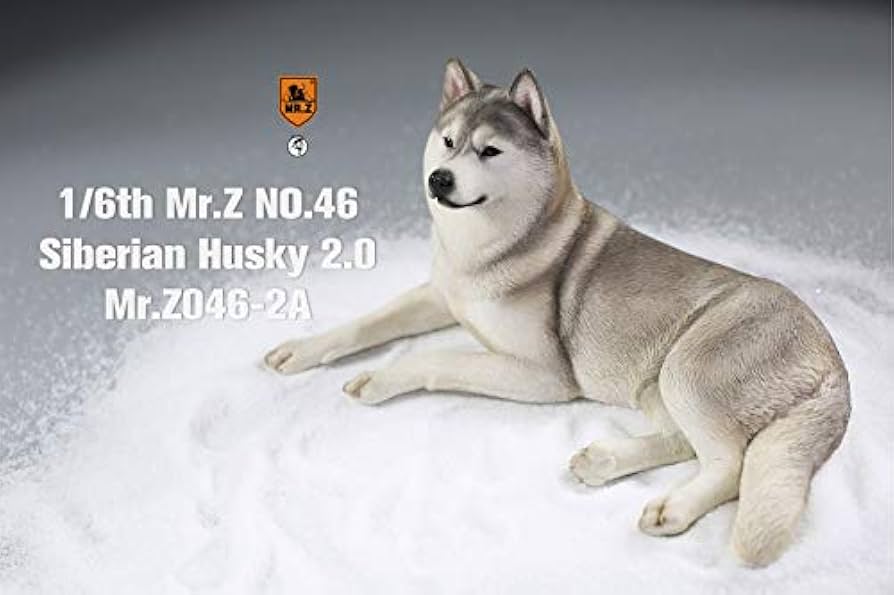 Amazon | Mr.Z&JXK 1/6 サイズ シベリアン・ハスキー 2.0 可愛い