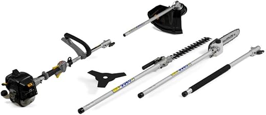 Alpina Multitool AMT 26 â€“ 5 In 1, Motore A Scoppio Da...