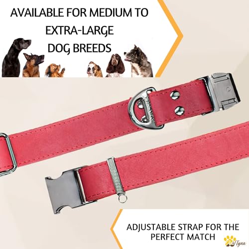 Image of ADITYNA Leather Dog Collar for Large & Extra Large Dogs, Adjustable 19-30 inch | Padded, heavy-duty metal buckle. Great for walking, training - ideal for Rottweiler, German Shepherd, Golden Retriever.