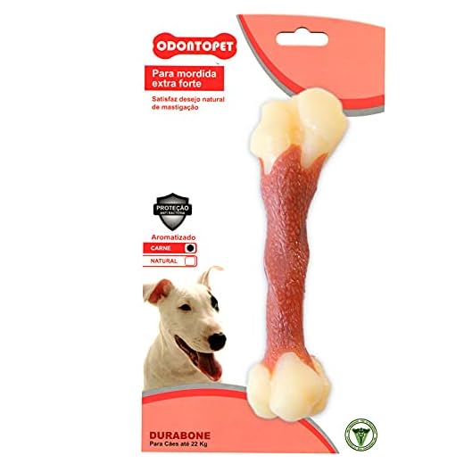 BRINQUEDO DURABONE FEMUR ATE 22KG CARNE