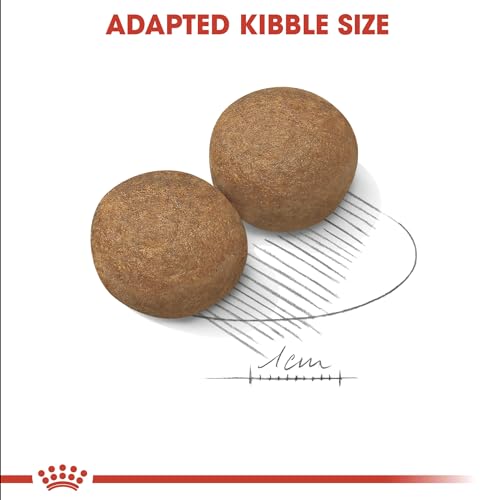 Royal Canin Maxi Adult