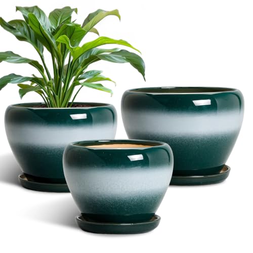 EPFamily Ceramic 10+8+6 Inch Planter, Ceramic Flower Pots, Green-White