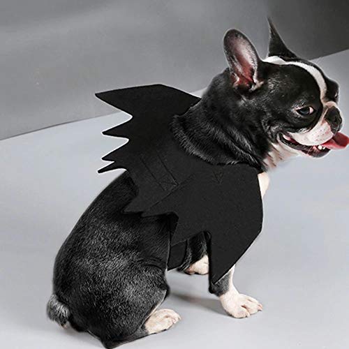 Disfraz de Alas de Murciélago para Perro Tamaño Pequeño miniatura 2