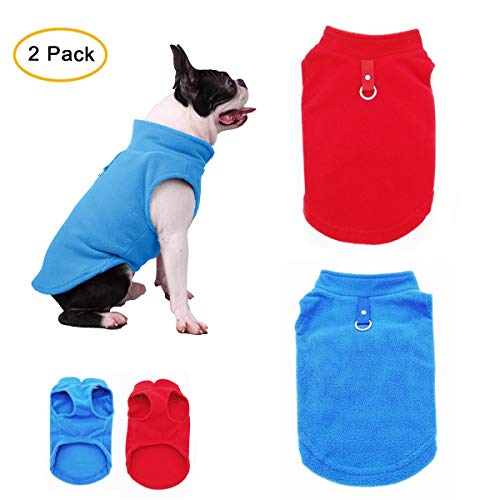 Best Winter Coat For Small Dog With Leash Ring